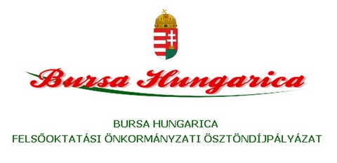 Plyzat Bursa Hungarica felsoktatsi sztndjra