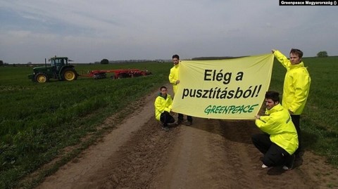 Kishantos s a Greenpeace a Krin is nyert a magyar llammal szemben