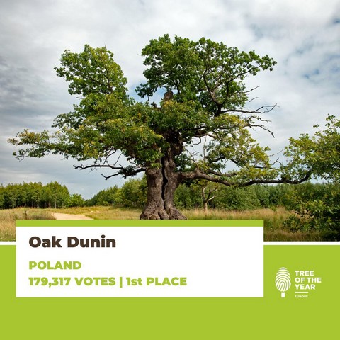 Az v eurpai fja versenyen egy lengyel tlgy gyztt